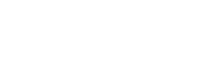 Social Brand Concept